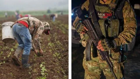 Gobierno reconoce extorsiones de grupos delictivos contra productores en Michoacán