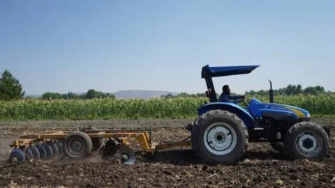 México exporta más frutas y hortalizas, pero recibe menos dinero por ellas: GCMA