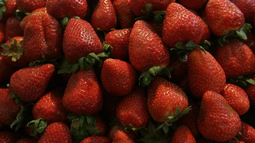 Fresas mexicanas
