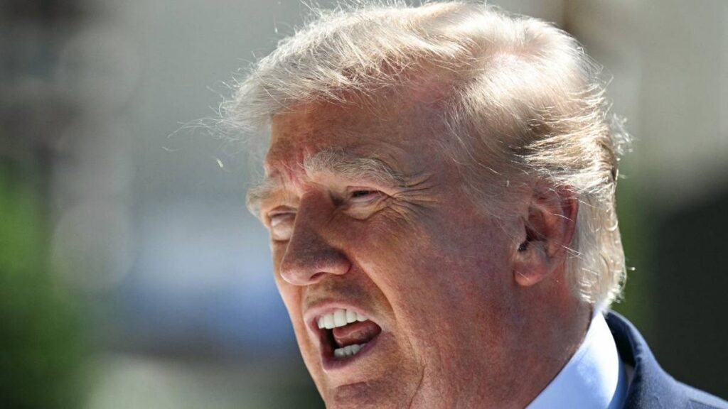 Donald Trump, presidente de Estados Unidos.
