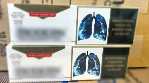 Otra vez: decomisan 52.5 millones de cigarros falsos en Michoacán