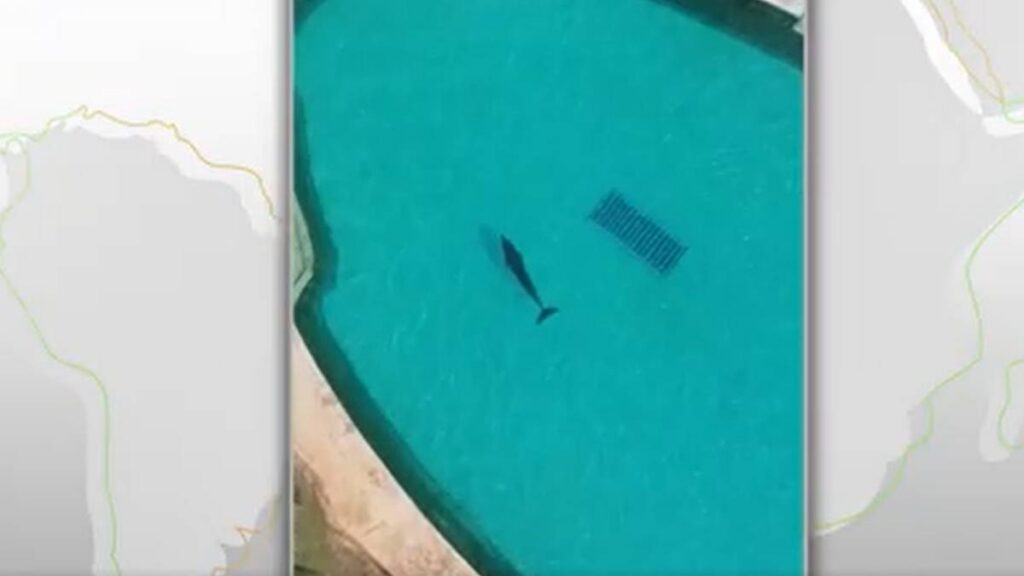 Delfinario en Cancún