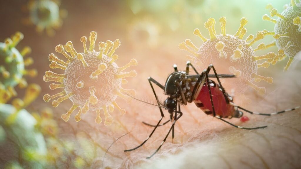 Alerta de dengue en Florida 2026.