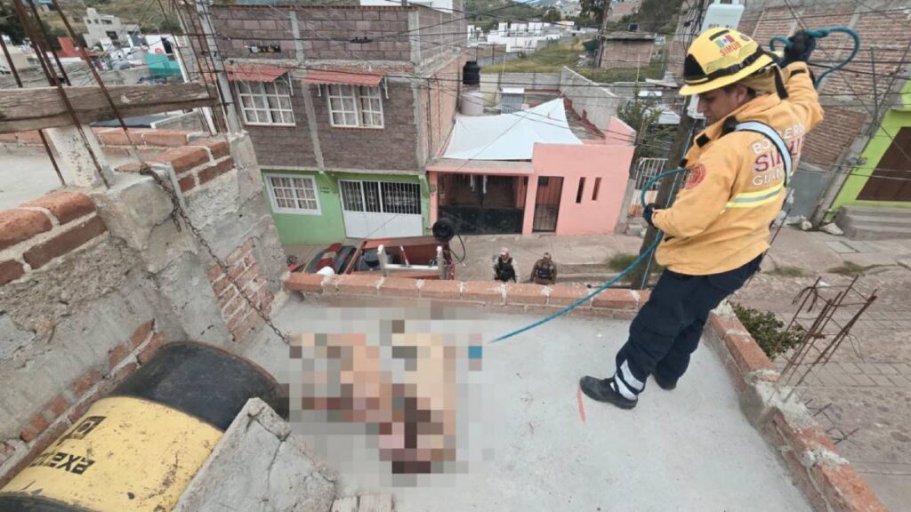 Dos perros colgados en Guanajuato.