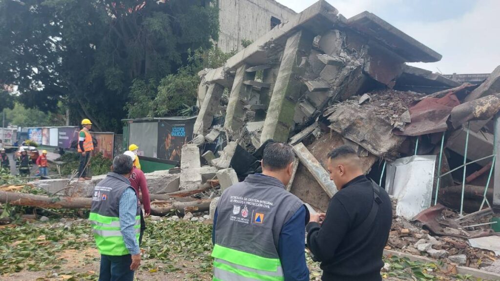 Un árbol cayó sobre la vialidad tras el derrumbe registrado en Viaducto Río Becerra.