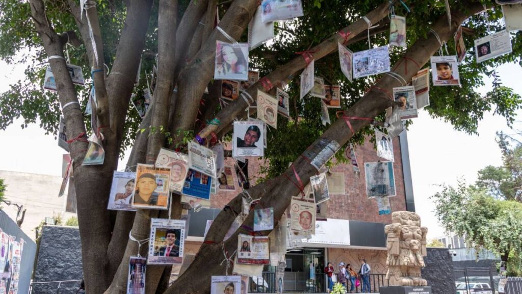 155 personas desaparecidas en una semana: adolescentes y jóvenes, los más afectados