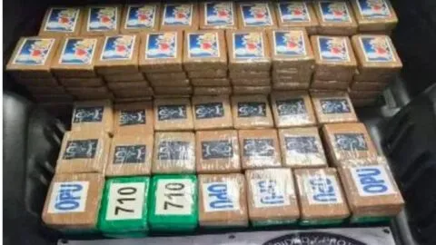Decomisan 217 kilos de cocaína ocultos en un vehículo en Tlalpan; hay un detenido