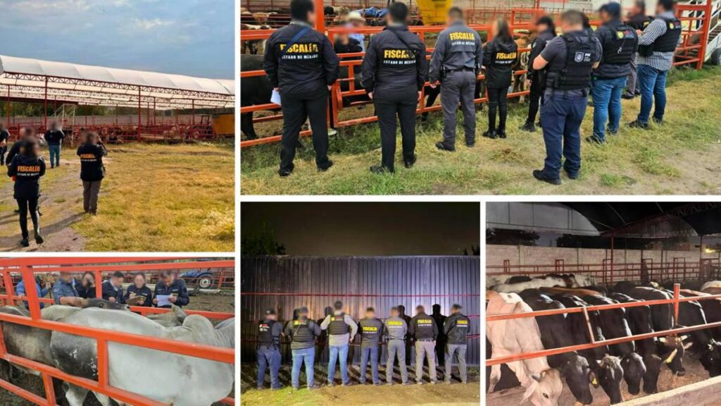 Autoridades utilizaron drones para localizar ganado dentro de un inmueble en el Estado de México.