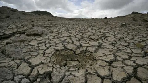 Honduras declara en alerta casi 80% de su territorio por sequía y efectos de El Niño