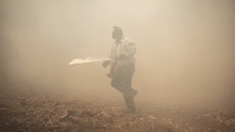 Incendios en Grecia consumen más de 11 mil hectáreas; hay al menos 2 muertos