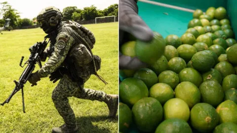 Ruta del limón en Michoacán es resguardada por Guardia Nacional y el Ejército