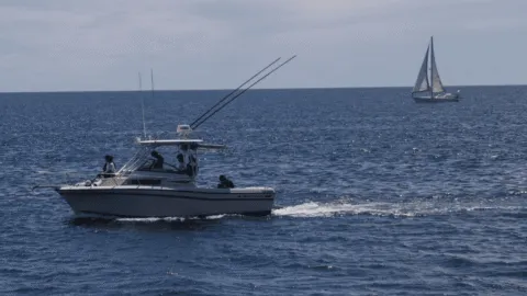Activan búsqueda y rescate de dos pescadores desaparecidos en costas de Tonalá, Chiapas