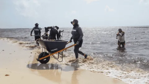 Sargazo comienza a ceder en playas del norte de Quintana Roo