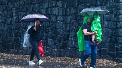Se pronostican lluvias intensas y descenso de temperatura en CDMX este domingo