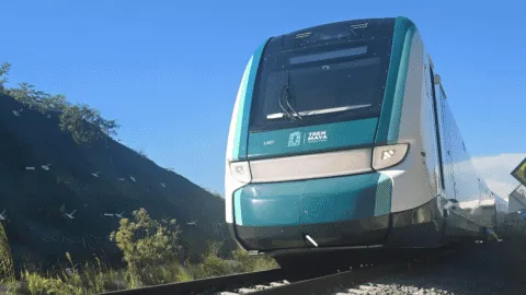 Tren Maya sufre nuevo descarrilamiento y deja 123 pasajeros desalojados en Campeche