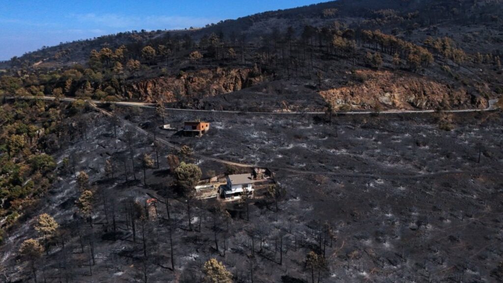 Incendios en España se mantienen, autoridades son optimistas. Foto: AFP