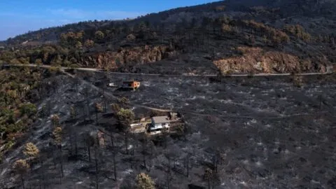 Incendio en España sigue activo tras recorrer 8 mil hectáreas