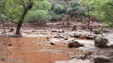 Más de 20 personas están desaparecidas tras inundación repentina en el Gran Cañón