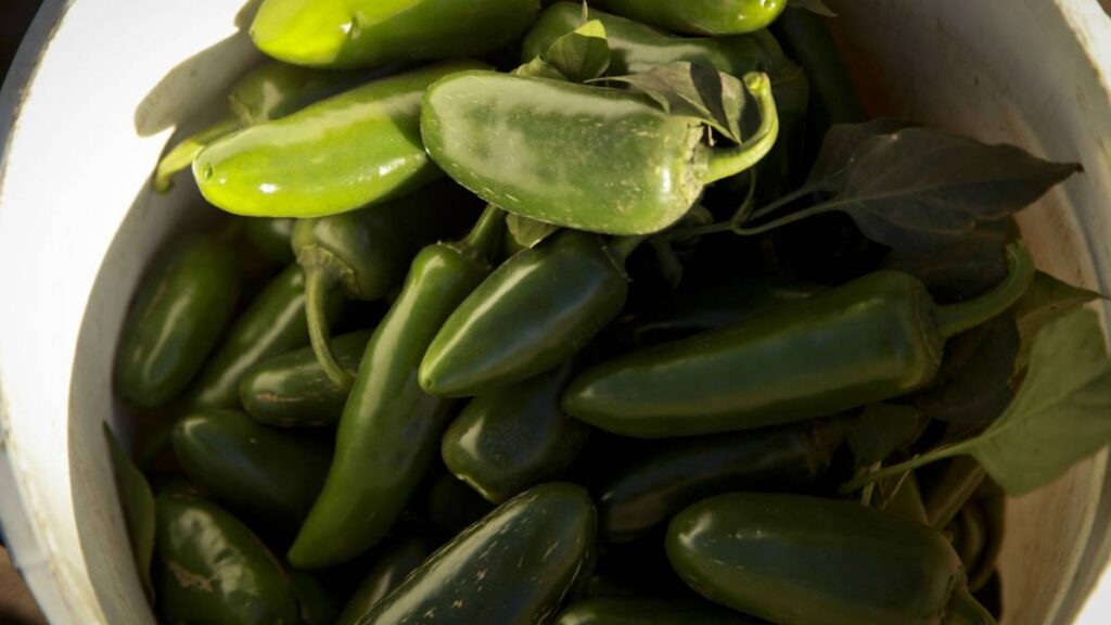 Retiraron del mercado los jalapeños relacionados con el brote