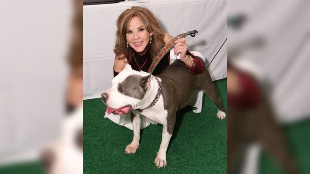 ¿Qué se sabe del caso de Linda Blair y los 100 perros?