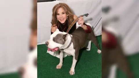 Inspeccionan propiedad de Linda Blair donde habría más de 100 perros: la actriz de "El Exorcista" rompe el silencio 