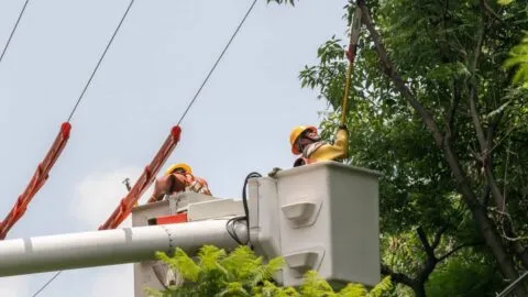 CFE anuncia cortes de luz en Campeche: checa fechas, horarios y colonias