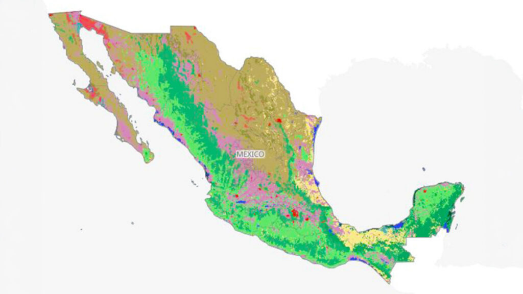 México perdió 4.1 millones de hectáreas de vegetación nativa en 40 años