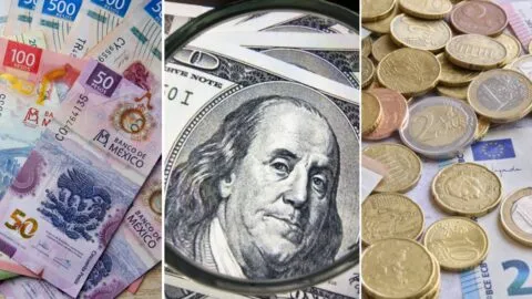 Dólar pierde terreno frente a varias monedas desde el regreso de Trump a la Casa Blanca