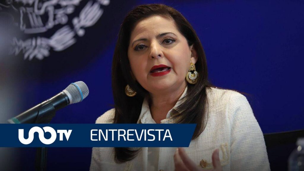 Arturo Espinoza cuestionó una posible llegada de Mónica Soto al Gobierno y citó el artículo 98 de la Constitución.