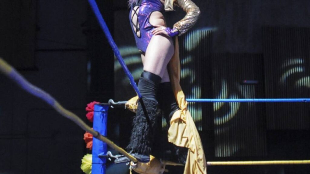 Murió la exluchadora Diana La Cazadora.