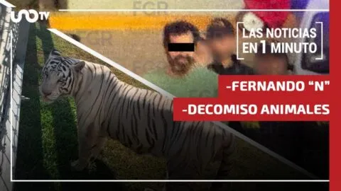 Noticias de hoy 27 de agosto de 2026, en un minuto, hasta las 13:00 horas