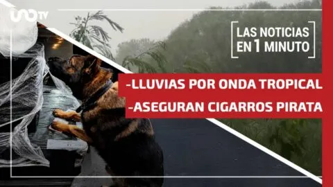 Noticias de hoy 19 de agosto de 2026, en un minuto, hasta las 19:00 horas