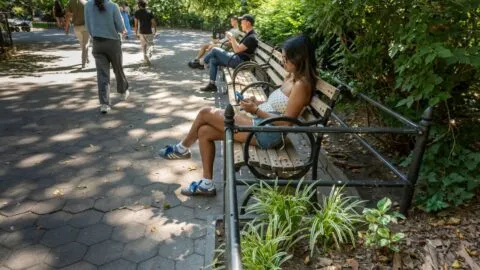 Nueva York: por qué la humedad roza niveles de la selva amazónica