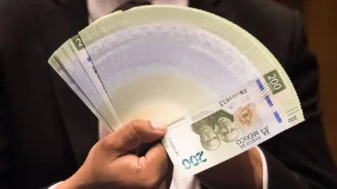 Ofrecían 30 mil al mes: frustran presunto reclutamiento de menor en Tequila, Jalisco