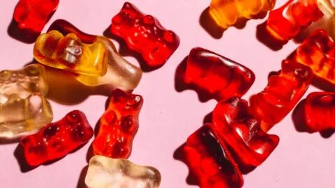 ¿Los panditas ya no serán rojos? Cuándo dejará de ocuparse el rojo 3 en México