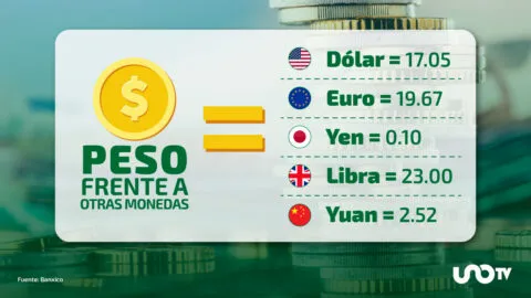 Tipo de cambio hoy 14 de agosto: dólar cotiza en 17.05 pesos