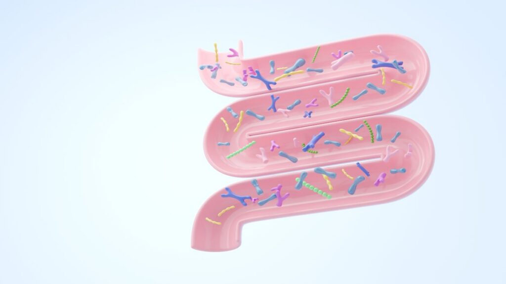 Probioticos