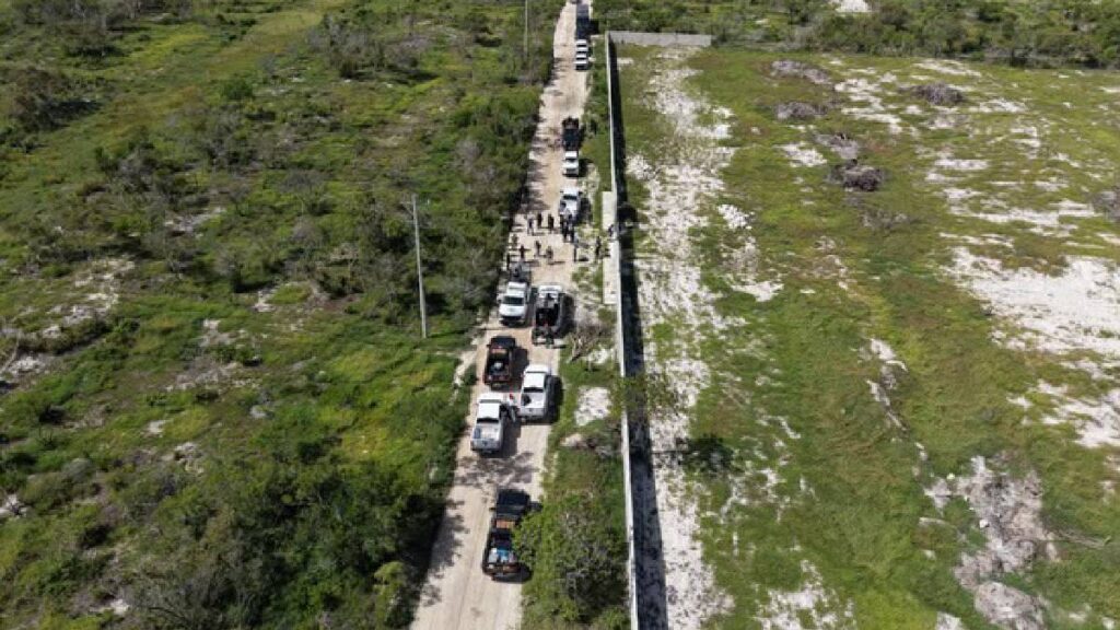 profepa-clausura-17-poligonos-por-cambio-ilegal-de-uso-de-suelo-en-yucatan