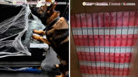 Aseguran 5.8 millones de cigarros apócrifos en el AICM procedentes de Singapur y Sri Lanka