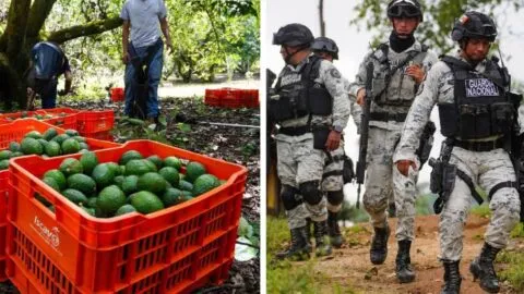 Refuerzan zonas aguacateras con más de mil 500 elementos de la GN y el Ejercito Mexicano en Michoacán