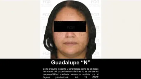 FGR obtiene vinculación a proceso contra apoderada legal de Ingemar, Guadalupe “N”