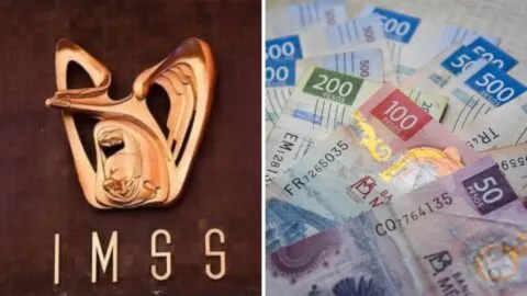 Pensión IMSS: el día que debes esperar el depósito y qué hacer si no llega