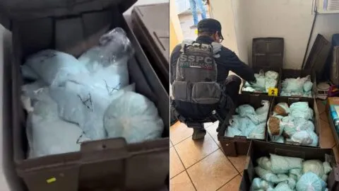 Duro golpe a “Los Rusos”: les aseguran 4 millones de dosis de fentanilo en Mexicali