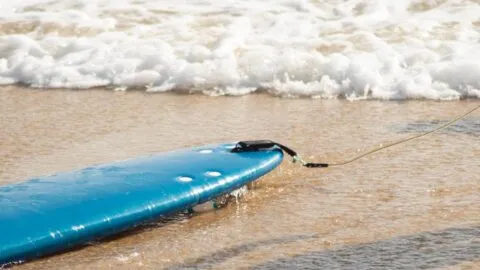 ¿Cómo llegó ahí? Rescatan a una niña varada en una tabla de surf frente a las costas de Baja California Sur