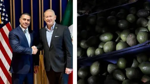 EE. UU. destaca acuerdos de seguridad con México para reactivar aguacate