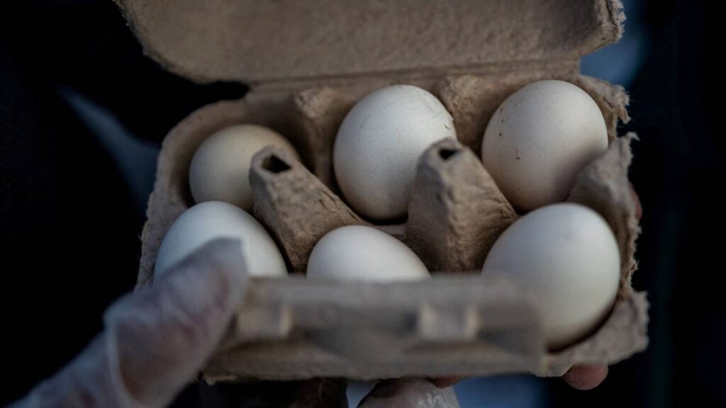 Millones de huevos son retirados por riesgo a la salud