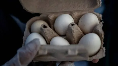 Retiran en 6 estados de EE. UU. 19 millones de huevos por posible Salmonella