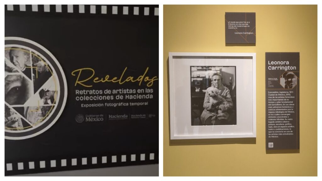 Revelados. Retratos de artistas en las colecciones de Hacienda