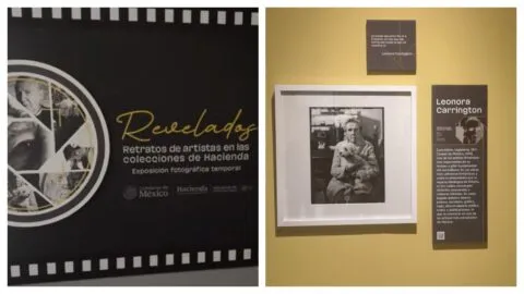 Revelados: la exposición de Hacienda que muestra a los artistas desde una mirada más personal