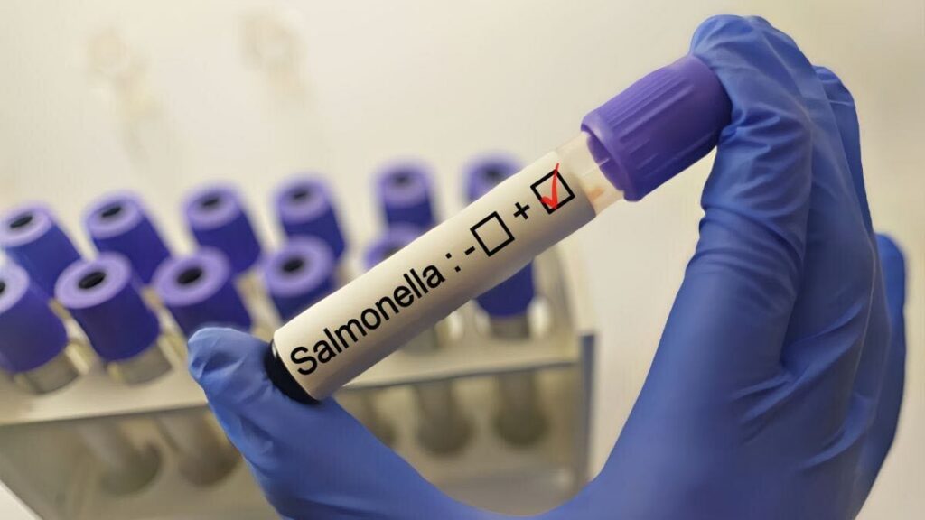 Salmonela retiros
